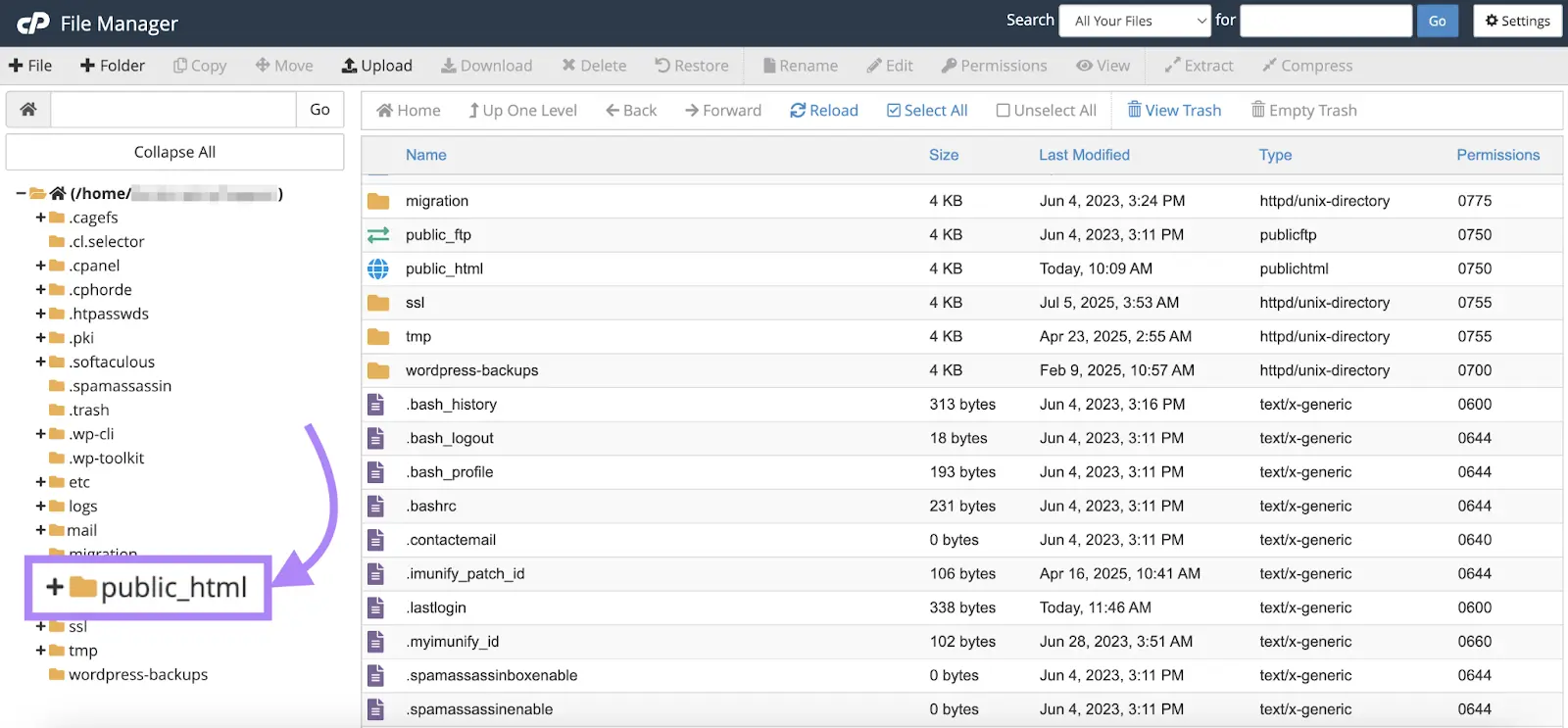cPanel File Manager with the public_html folder highlighted