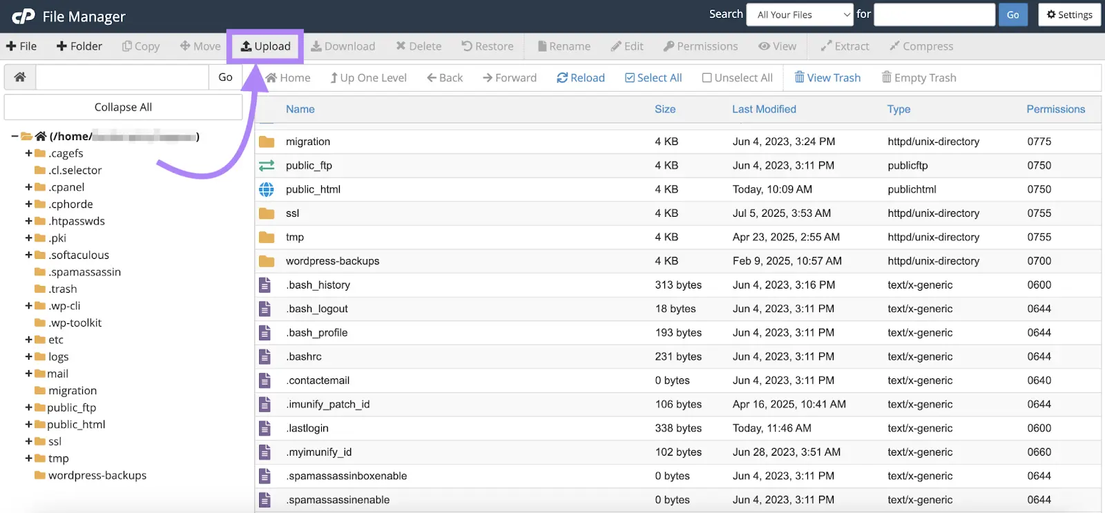 cPanel File Manager with the Upload button highlighted